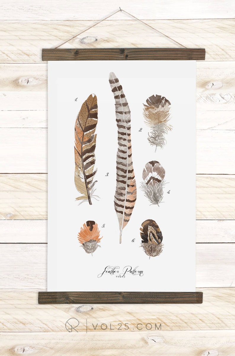 Feather Study large feathers wall hanging, wood trim art printed on textured cotton canvas. Scientific chart Vol.5 image 1