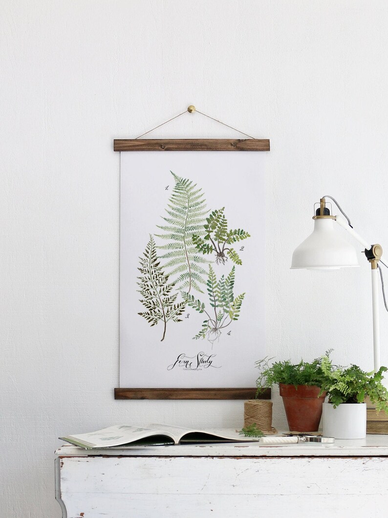 Fern Study Reverie Collection / Watercolor botanical wall hanging, wood trim art. Scientific Canvas Posters Chart Vol.1 More Options VPR08 image 2