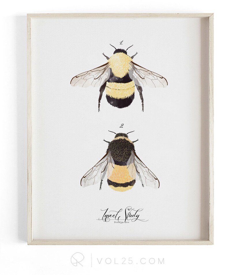 Insect Study Bee Botanic Collection Beautifully textured cotton canvas art print. Order as a 5x7 8x10 11x14 or 16x20 size. image 1
