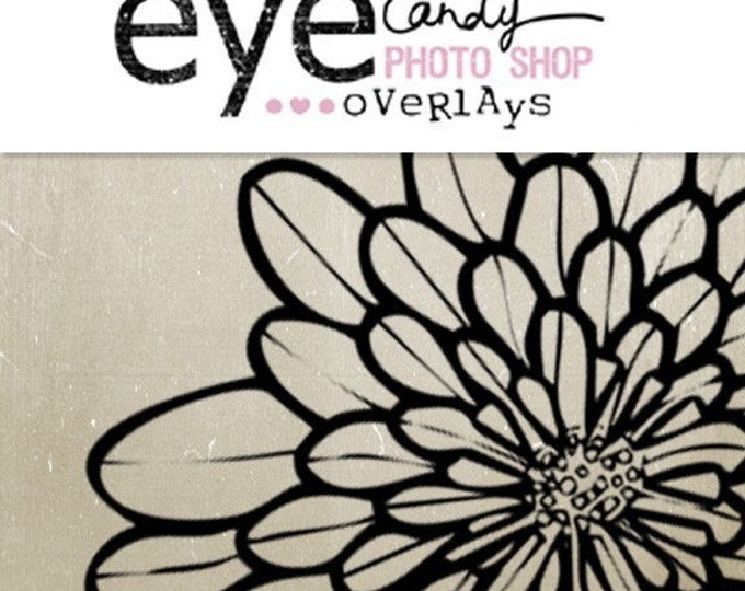 Eye Candy Overlays Blossom Etsy