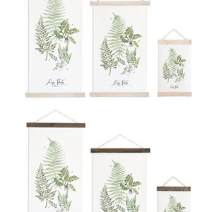 Fern Study Reverie Collection / Watercolor botanical wall hanging, wood trim art. Scientific Canvas Posters Chart Vol.1 More Options VPR08 image 6