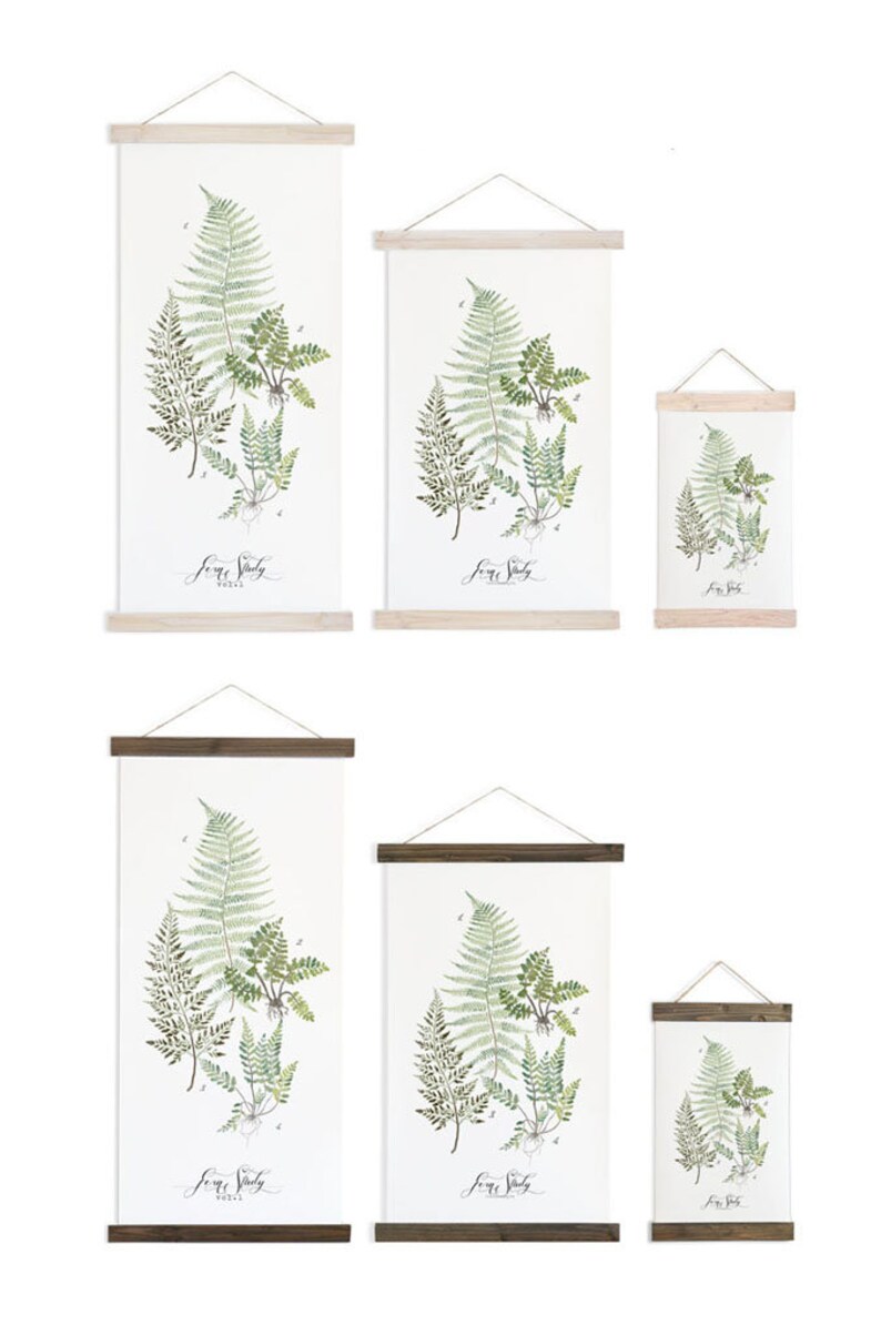 Fern Study Reverie Collection / Watercolor botanical wall hanging, wood trim art. Scientific Canvas Posters Chart Vol.1 More Options VPR08 image 6