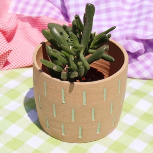 Colourful Ceramic Planter | Indoor Ceramic Plant Pot | Unique Pottery Housewarming Gift