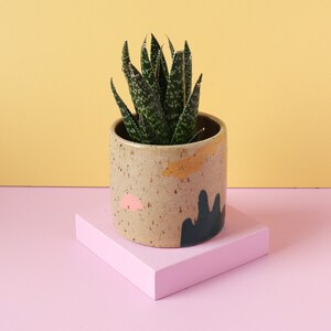3 Inch Colorful Planter Modern Ceramic Plant Pot Cactus Planter Indoor Succulent Vessel image 7