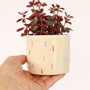 3 Inch Ceramic Planter Colourful Planter Cactus Plant Pot Succulent Plant Pot image 3