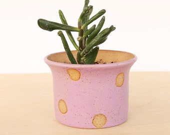 Polka Dot Ceramic Planter / Small Indoor Planter / Cactus Plant Pot / Succulent Plant Pot