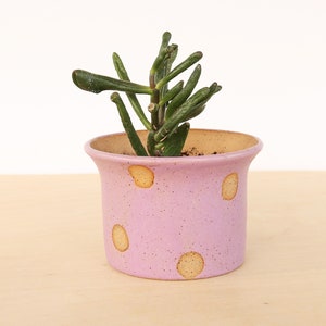 Polka Dot Ceramic Planter / Small Indoor Planter / Cactus Plant Pot / Succulent Plant Pot