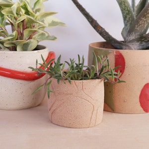 small ceramic planter, surrounded by larger colourful planters