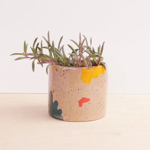 3 Inch Colorful Planter Modern Ceramic Plant Pot Cactus Planter Indoor Succulent Vessel image 3