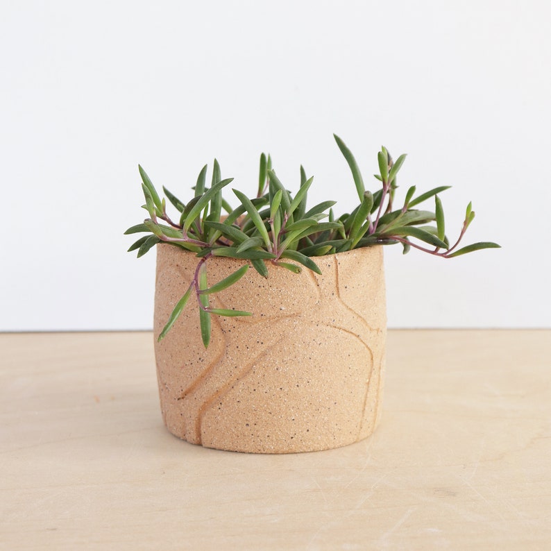 Mini Ceramic Planter modern home garden decor image 3