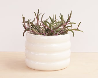 Ceramic Planter / Small White Planter / Cactus Plant Pot / Succulent Plant Pot