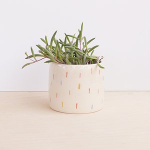 3 Inch Ceramic Planter | Colourful Planter | Cactus Plant Pot | Succulent Plant Pot