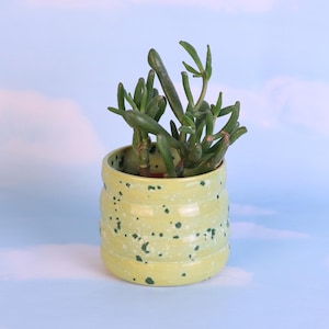 Colorful Ceramic Planter Cactus Pot with Drainage  Indoor Succulent Planter