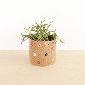 Floral Ceramic Planter Small Indoor Cactus Plant Pot Succulent Plant Container