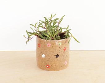 Fioriera in ceramica floreale, piccolo contenitore per piante grasse, vaso per cactus da interno