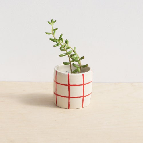 Colorful Ceramic Planter Cactus Pot with Drainage  Indoor Succulent Planter
