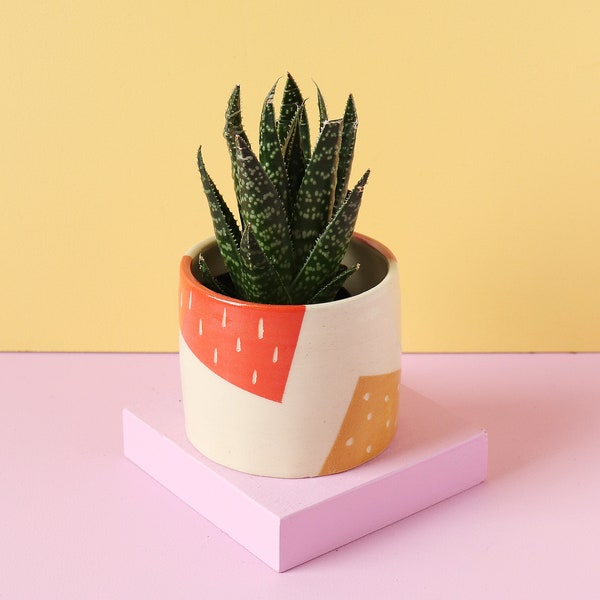 Colorful Ceramic Planter / Cactus Planter / Indoor Succulent Planter / Modern Ceramic Plant Pot