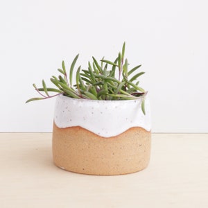 Jardinière moderne en grès moucheté : cactus/pot succulente en céramique coloré