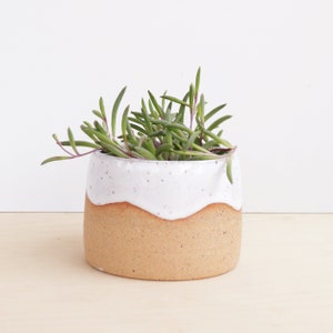 Colorful Planter / Modern Ceramic Plant Pot / Cactus Planter / Indoor Succulent Planter image 1