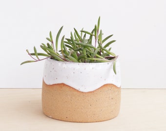 Colorful Planter / Modern Ceramic Plant Pot / Cactus Planter / Indoor Succulent Planter