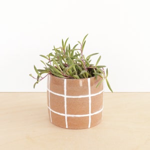 Colorful Ceramic Planter Cactus Pot with Drainage Indoor Succulent Planter white