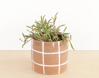 Kleurrijke Keramische Planter Cactus Pot Met Drainage Indoor Succulente Planter