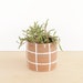 see more listings in the Planters section