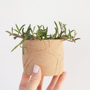 Mini Ceramic Planter modern home garden decor image 2