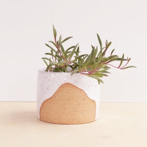 May include: A white ceramic planter with a brown speckled glaze and a unique, wavy rim. The planter is filled with a small succulent plant with green leaves.