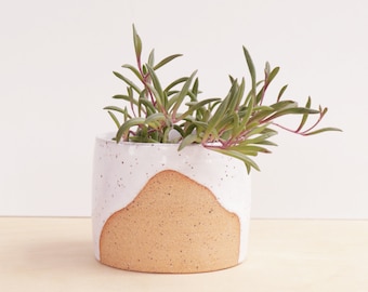 Ceramic Planter / Small Indoor Planter / Cactus Plant Pot / Succulent Plant Pot