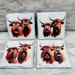 highland cow coasters, drinks coasters, highland cow, highland cow decor