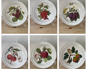 Portmerion Pomona Designed by Susan Williams-Ellis REPLACEMENT Salad Bowl Pick Your Pattern Currant Cherry Apple Squash Pear Plum Botanical