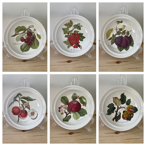 Portmerion Pomona Designed by Susan Williams-Ellis REPLACEMENT Salad Bowl Pick Your Pattern Currant Cherry Apple Squash Pear Plum Botanical