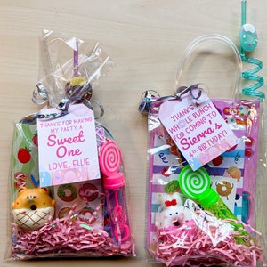 Donut Birthday Party Favor Bag, Crazy Straw, Squishy, Tattoos, Sticker, Coloring Book, Bubbles