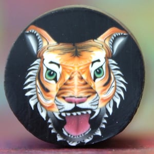 Op de afbeelding: Een close-up van een tijgergezicht geschilderd op een zwart rond object. De tijger heeft oranje en zwarte strepen, groene ogen en een witte snuit.