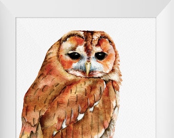 Tawny Owl Watercolor Digital Print