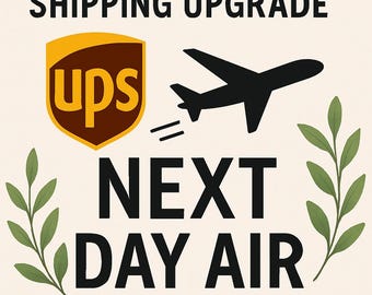UPS Next Day Air Shipping Upgrade