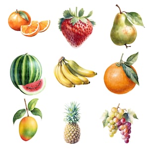 26 Watercolor Fruit Clipart Bundle | Hand-Painted Botanical JPGs | Printable Digital Download | High-Res Fruit Illustrations for Crafts