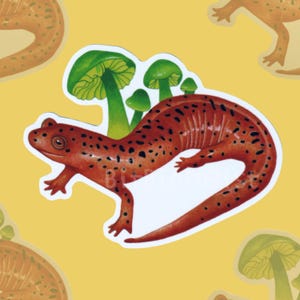 Red Salamander and Green Fungi Vinyl Sticker | Wildlife Sticker