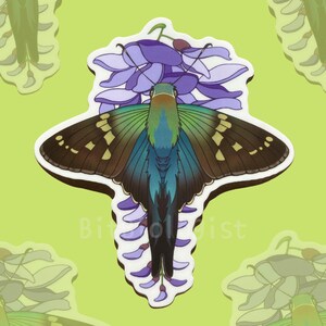 May include: A sticker featuring a detailed illustration of a butterfly with open wings, showcasing a blend of brown, green, and blue hues. The butterfly is positioned over a cluster of purple flowers, set against a light green background.