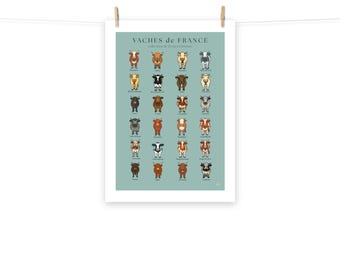 Cows of France – Collection of 24 French Cattle Breeds, Cattle Breeds Poster, Illustrated French Cow Art Print, Gift for Cow Lovers