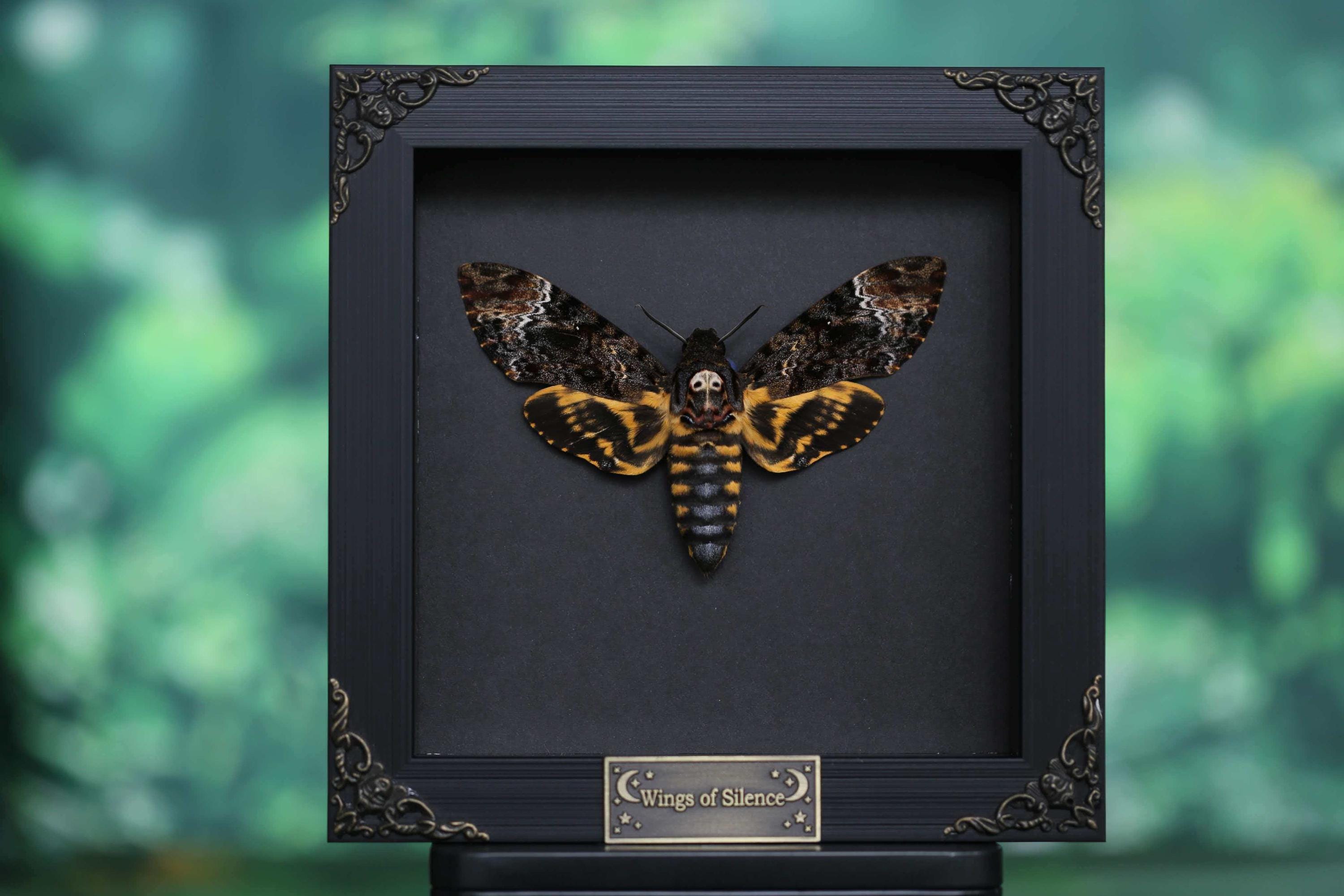 Death head moth - Etsy 日本