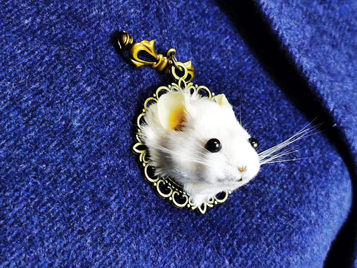 This is a Lovely Real Mouse Head Taxidermy Brooch \ Miniature Animal ...