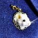 This is a Lovely Real Mouse Head Taxidermy Brooch \ Miniature Animal ...