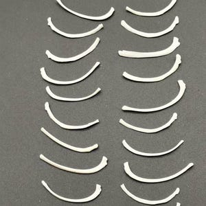 Könnte beinhalten: Eine Sammlung von 18 weißen, gekrümmten, knochenartigen Objekten, die in zwei Reihen auf einer grauen Oberfläche angeordnet sind.