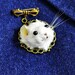 This is a Lovely Real Mouse Head Taxidermy Brooch \ Miniature Animal ...