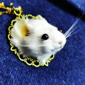 This is a Lovely Real Mouse Head Taxidermy Brooch \ Miniature Animal ...