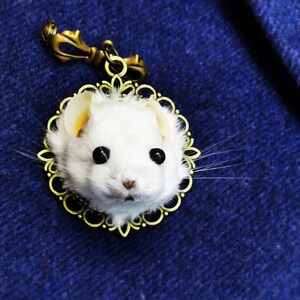 This is a Lovely Real Mouse Head Taxidermy Brooch \ Miniature Animal ...