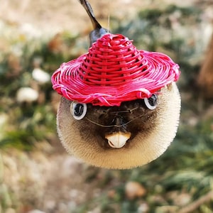 Whimsical Dried Pufferfish – A Unique Marine Oddity for Collectors