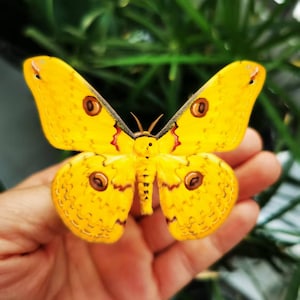 May include: A bright yellow butterfly with detailed wing patterns and brown circular markings. The butterfly's wings have a textured appearance, and the body is yellow. The background is a blurred green, suggesting foliage.